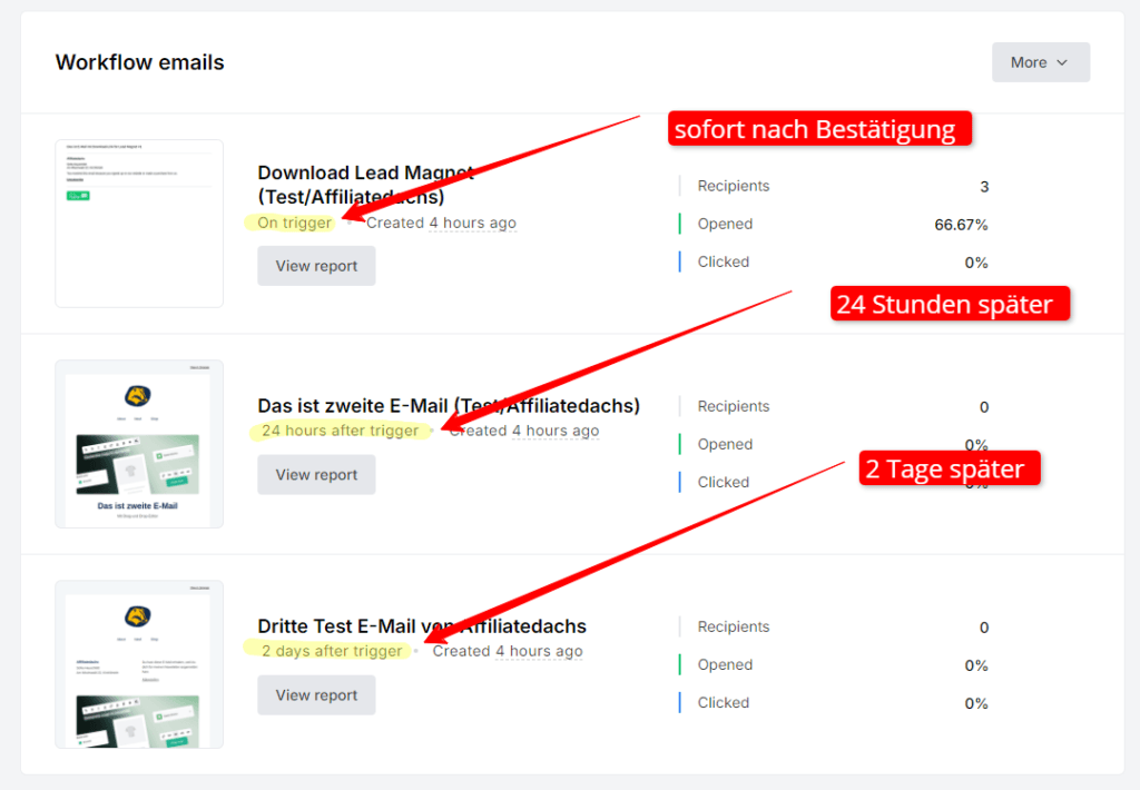 Mailerlite Autoresponder Workflow